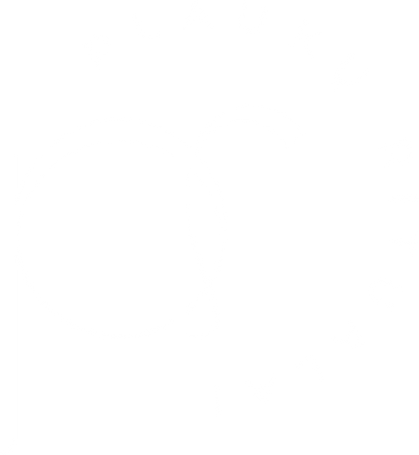 Plaukų Ritualai